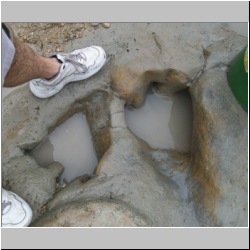 100_0651 (2009-27-07)cr.jpg